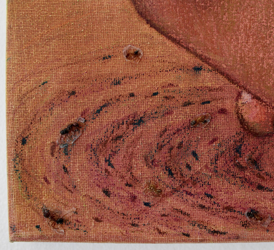 Death Spiral (detail); Oil pastel and preserved ants on canvas; 20” x 16”; 2024