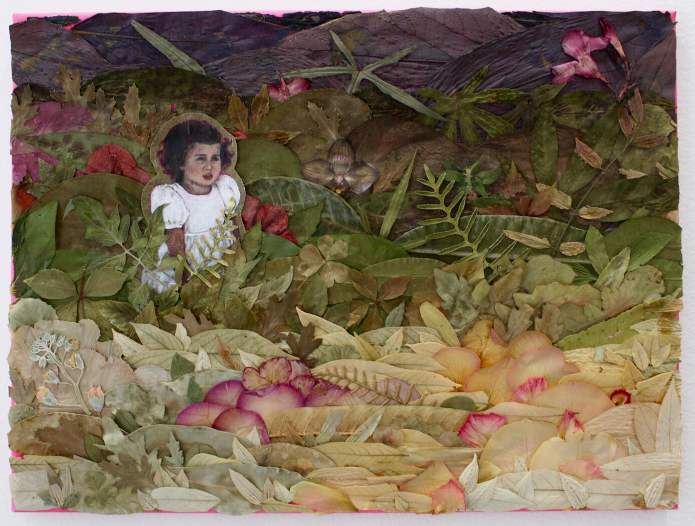 Under &amp; Overgrown; Preserved flora, oil paint, and recycled paper on canvas; 16” x 12” ; 2024